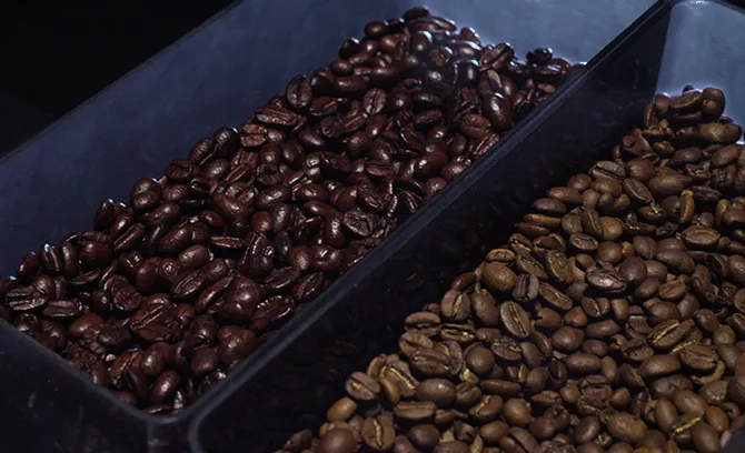 product-670-408 product-670-408